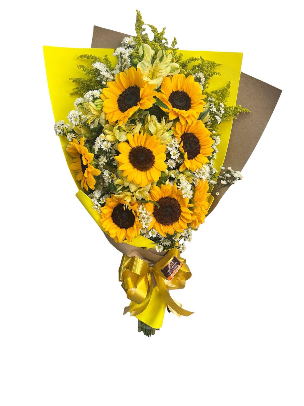 thumb-bracadinha-com-8-girassois-0