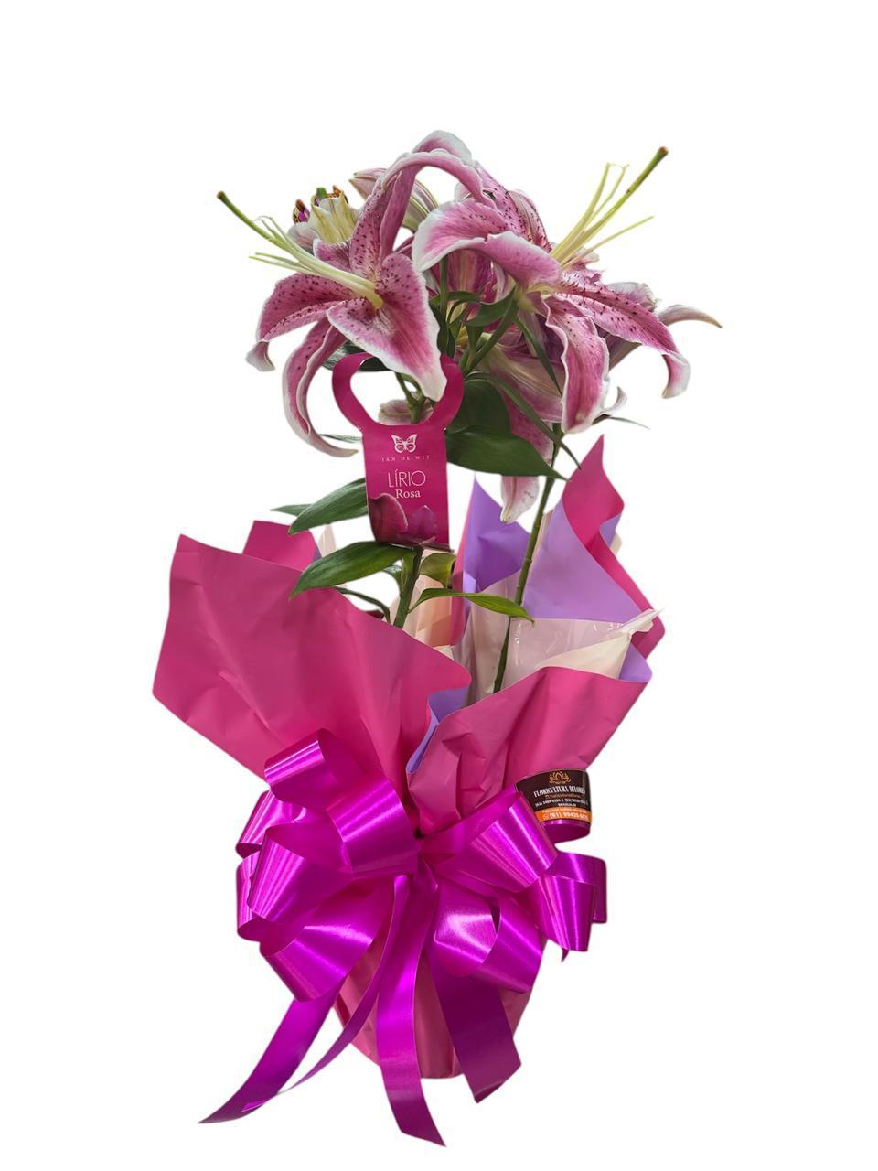 thumb-lirio-rosa-plantado-3