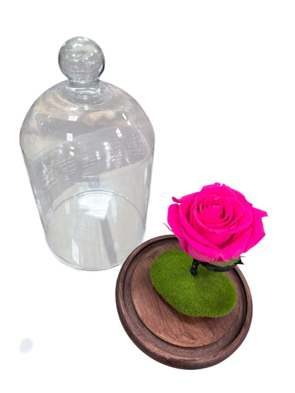 thumb-rosa-preservada-pink-0