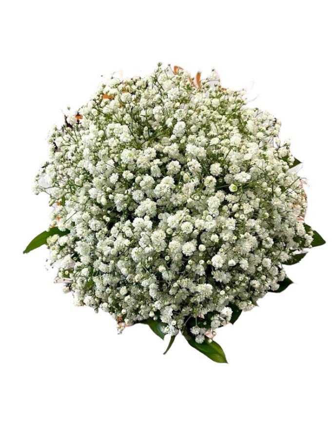 thumb-buque-de-noiva-paixao-serena-0