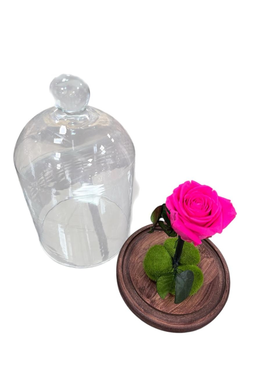 Rosa Preservada Pink