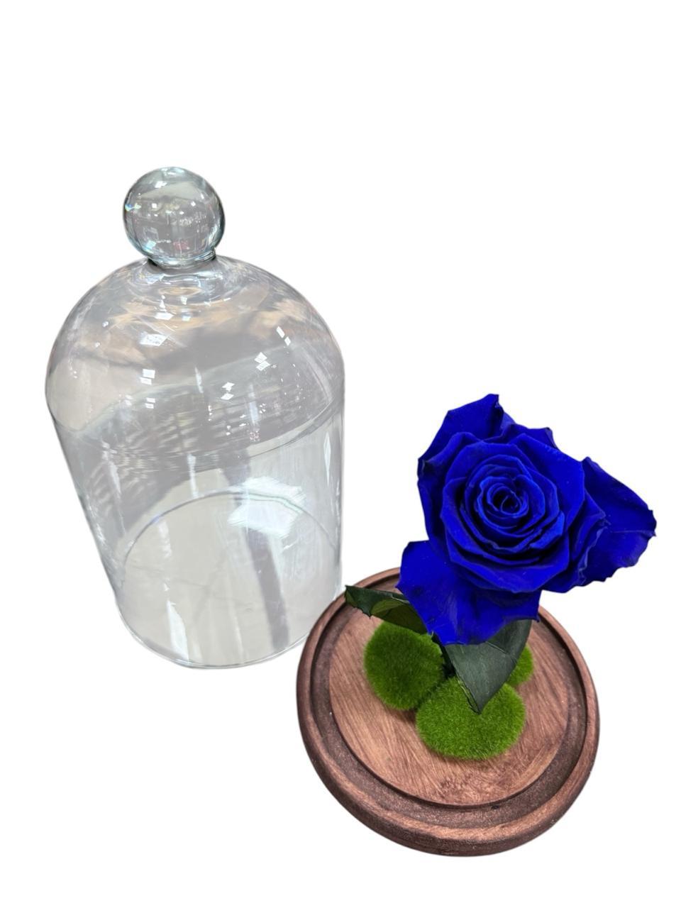 thumb-rosa-preservada-azul-em-cupula-0