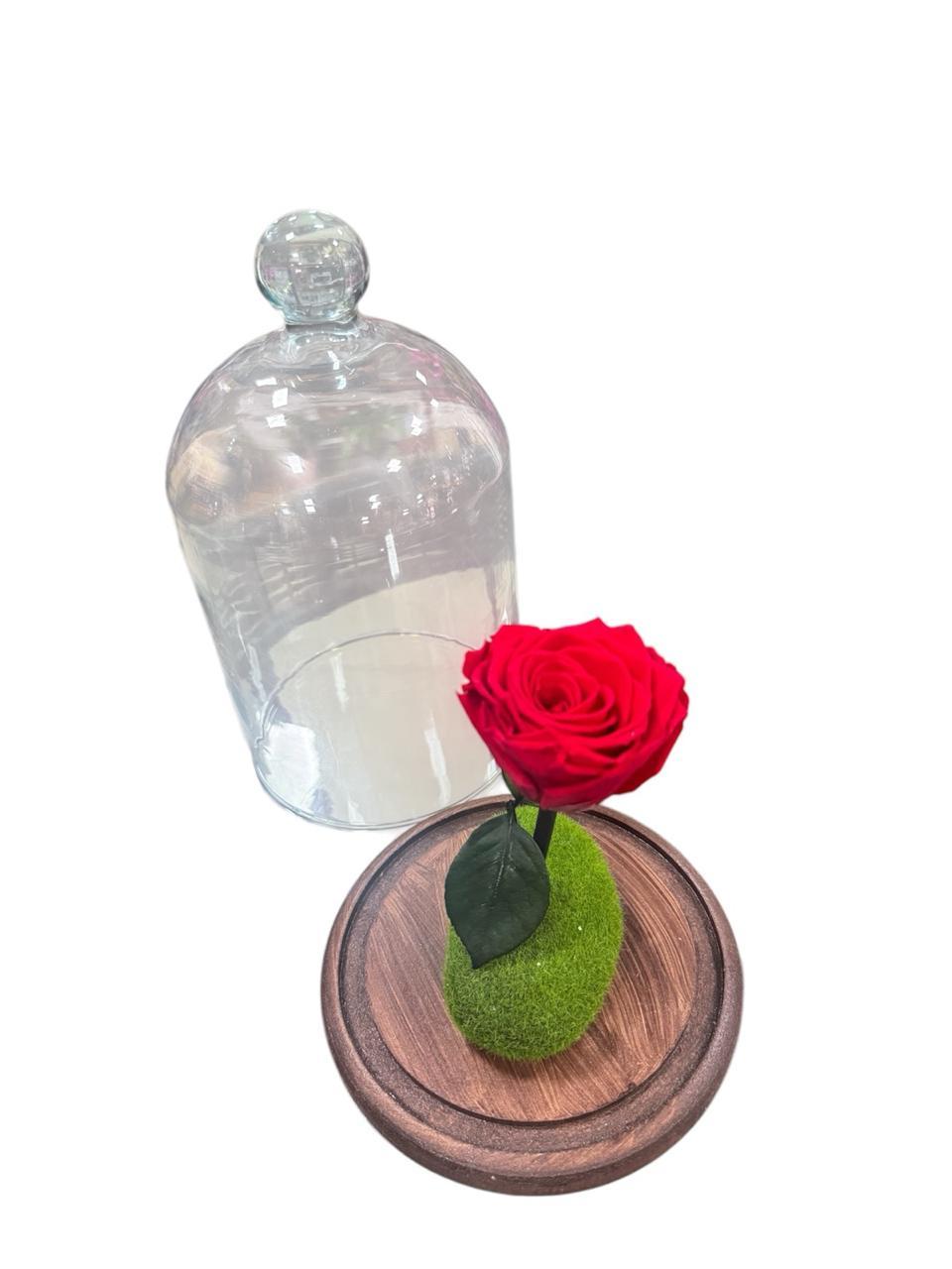 thumb-rosa-preservada-vermelha-1