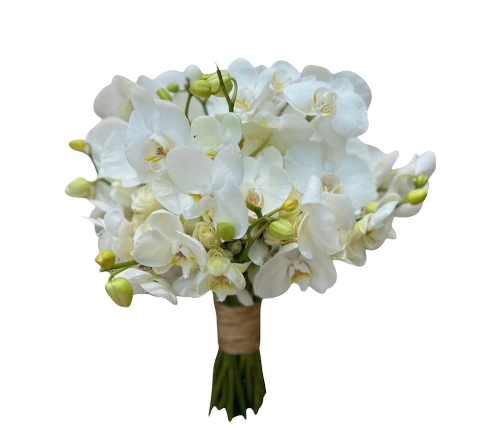 thumb-buque-de-noiva-pureza-com-orquideas-brancas-0