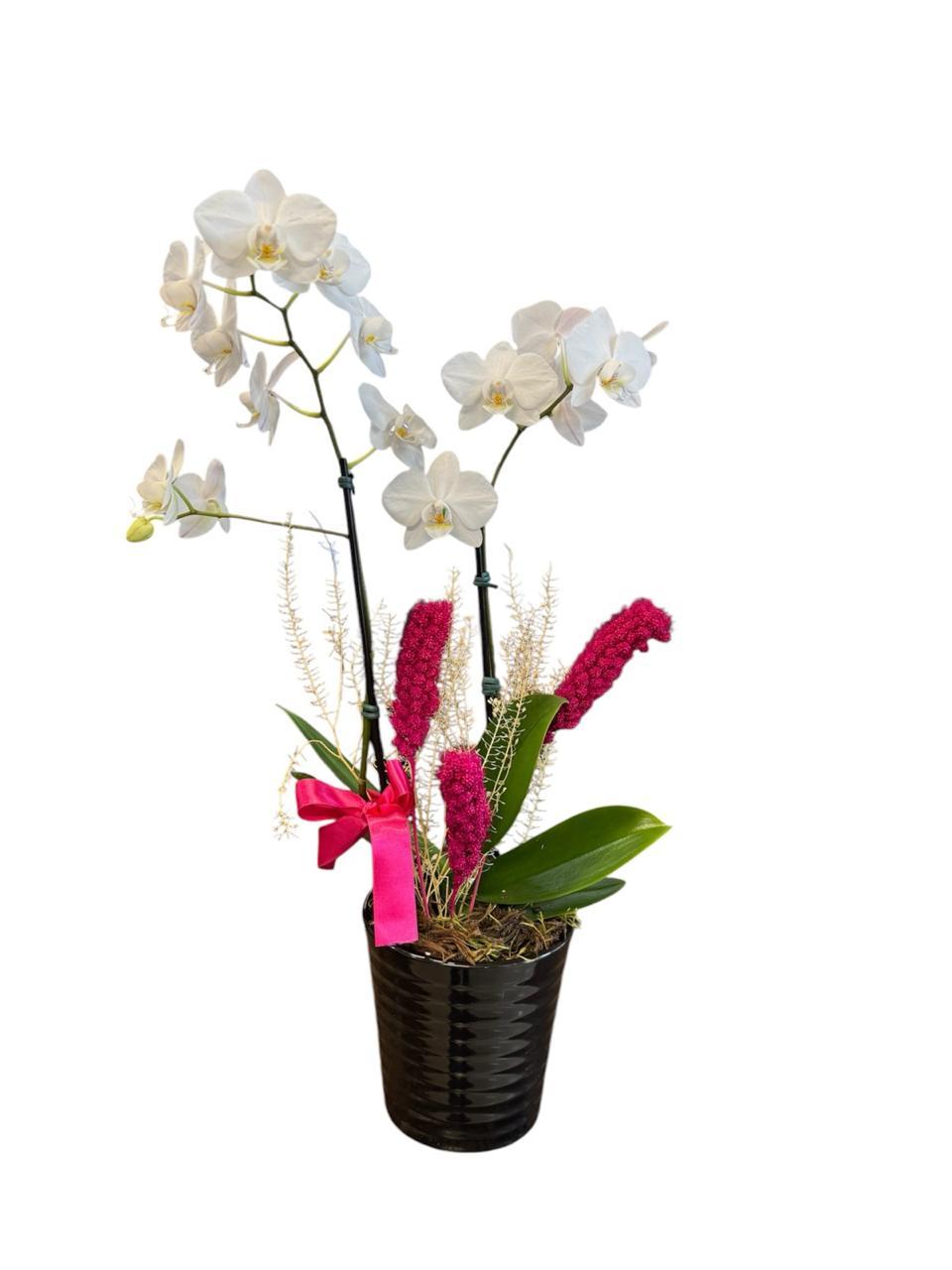 thumb-orquidea-media-branca-em-vaso-ceramica-3