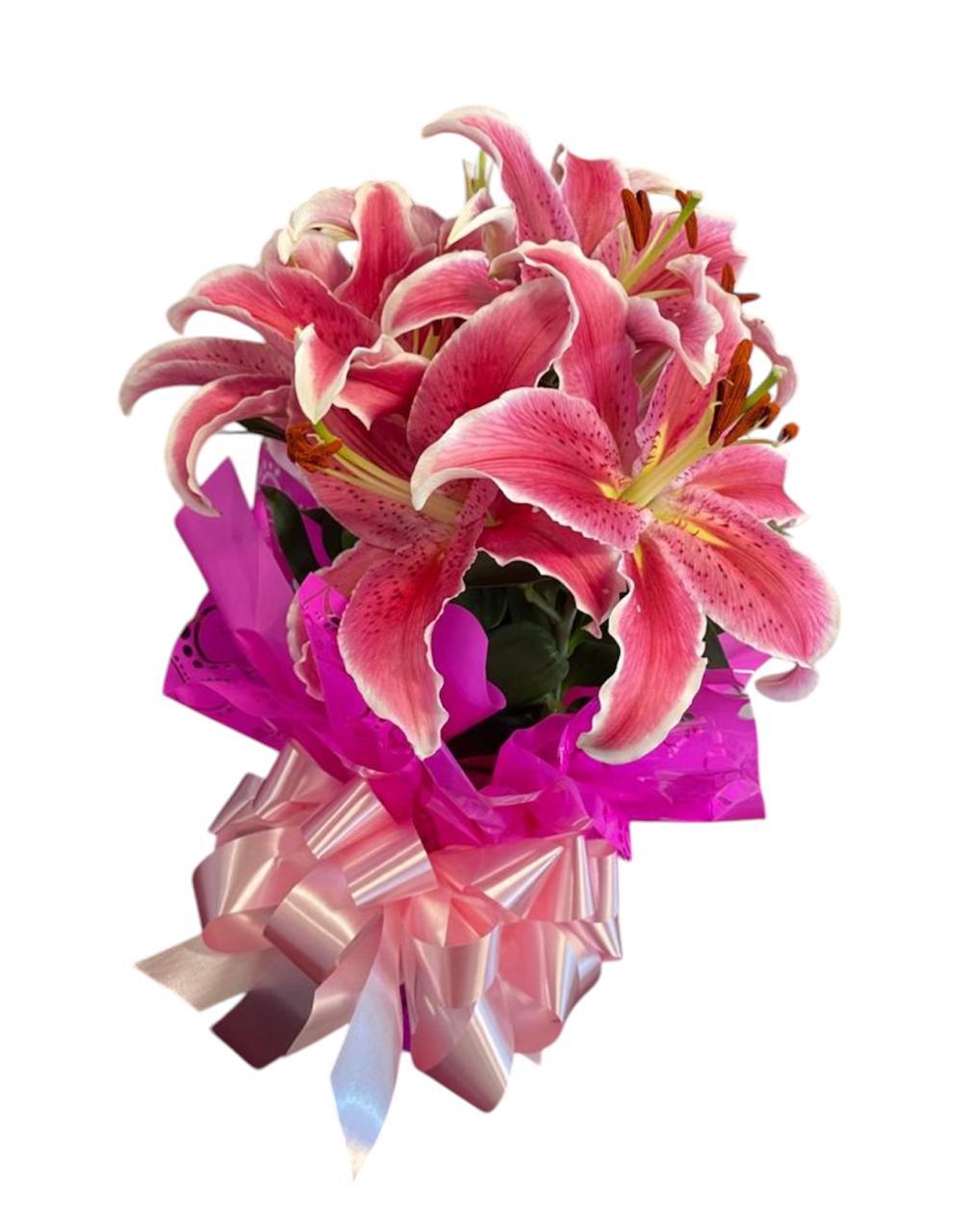 thumb-lirio-rosa-plantado-1