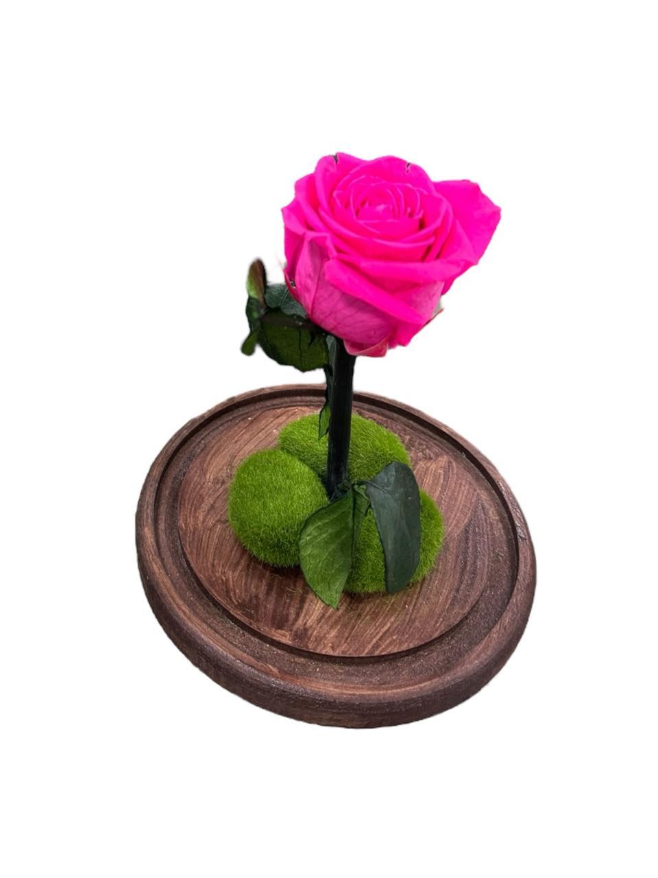 thumb-rosa-preservada-pink-2