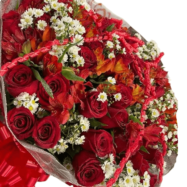 Buque com 50 rosas nacionais vermelhas